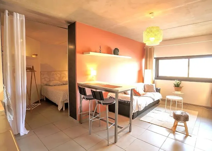 Le Saint Roch 1 - Ac Clim - Wifi - 50M Centre Ville