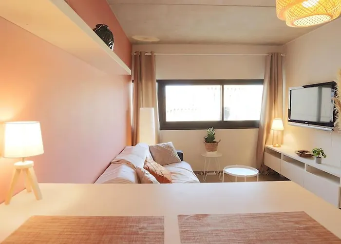 Le Saint Roch 1 - Ac Clim - Wifi - 50M Centre Ville