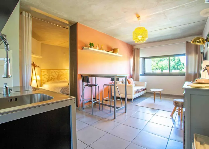 Le Saint Roch 1 - Ac Clim - Wifi - 50M Centre Ville