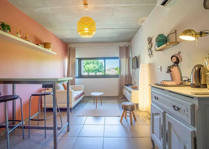 Le Saint Roch 1 - Ac Clim - Wifi - 50M Centre Ville