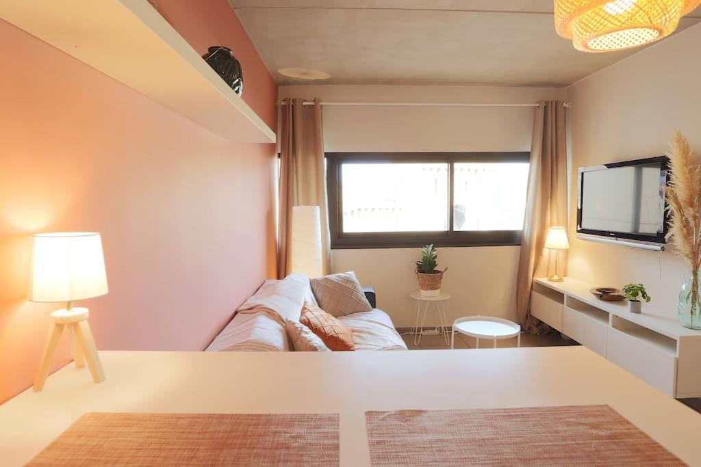 Appartement Le Saint Roch 1 - Ac Clim - Wifi - 50m Centre Avignon