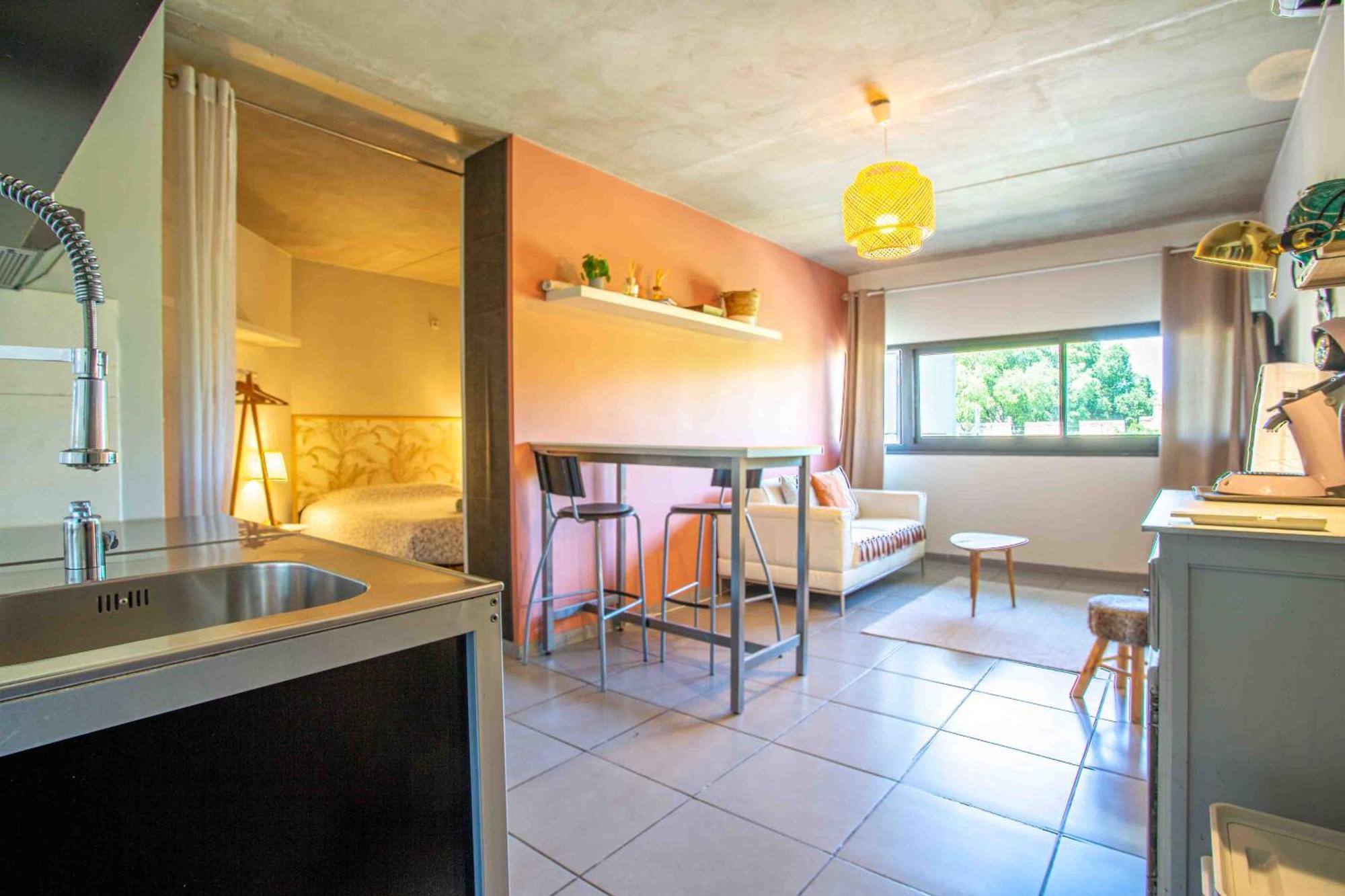 Apartment Le Saint Roch 1 - Ac Clim - Wifi - 50m Centre